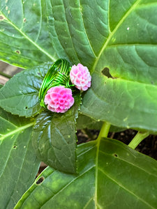 hydrangea rings!